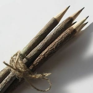 tree branch twig pencils